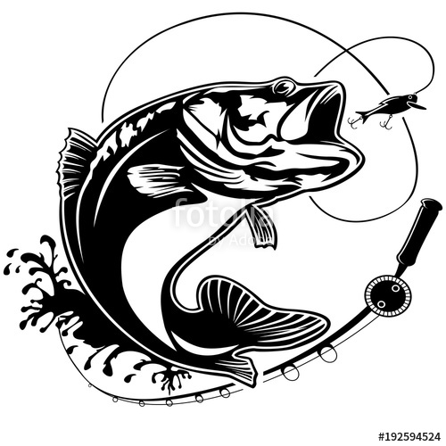 Largemouth Bass Vector at Vectorified.com | Collection of Largemouth ...