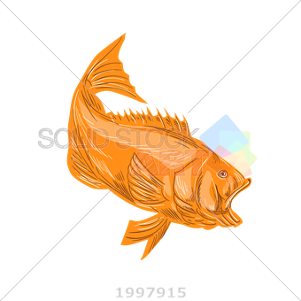 340x340 Stock Illustration Of Vector Drawing Orange Largemouth Bass Diving