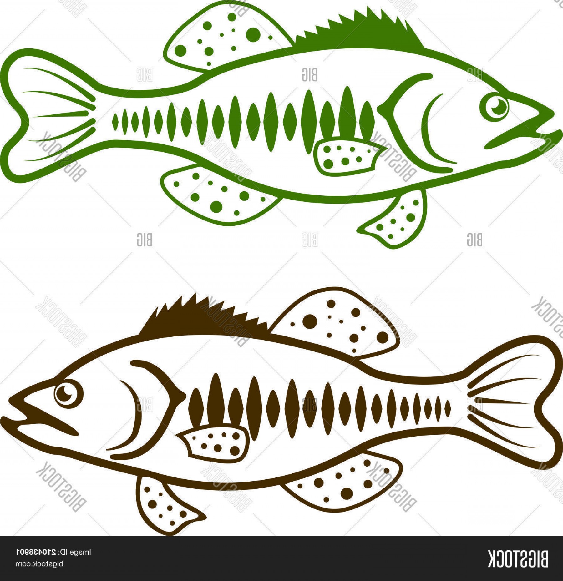 1800x1858 Stock Vector Striped Largemouth Bass Vector Fish Illustration Clip