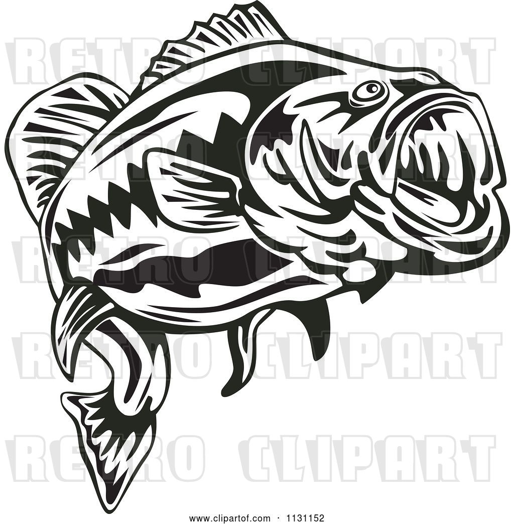 Largemouth Bass Vector at Vectorified.com | Collection of Largemouth ...