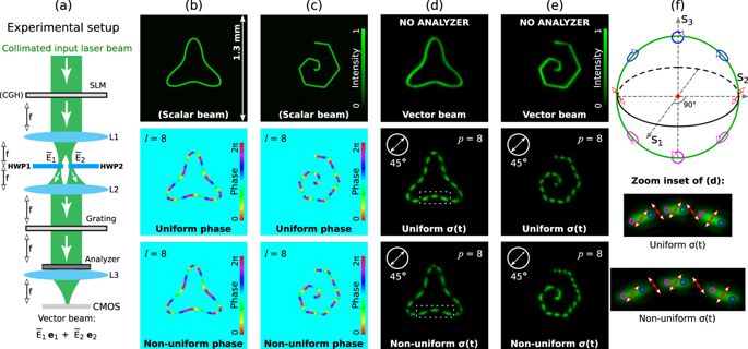 685x320 Vector Polymorphic Beam Scientific Reports