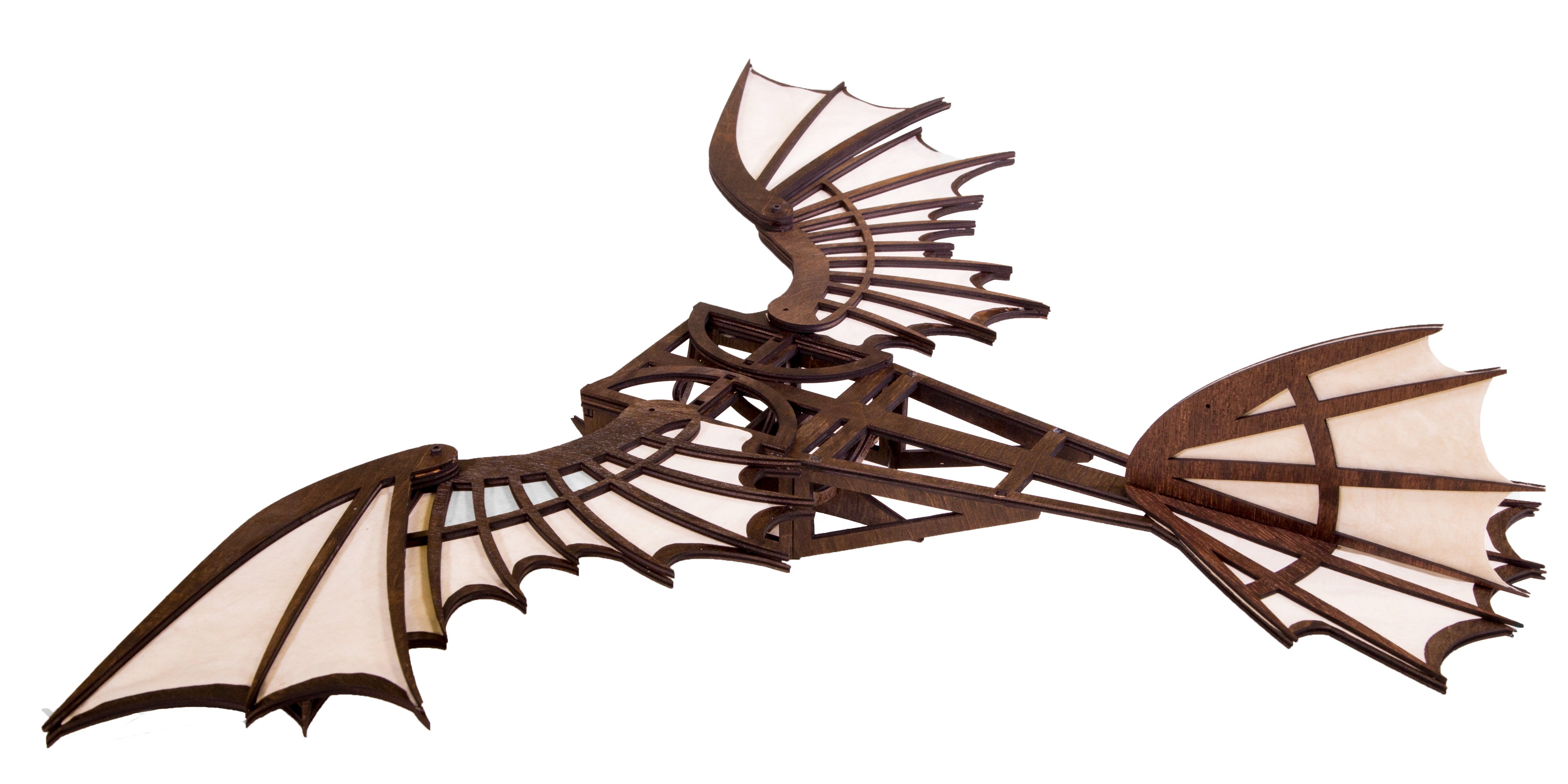 4167x2083 Designing For Laser Cutting Vector Cutting