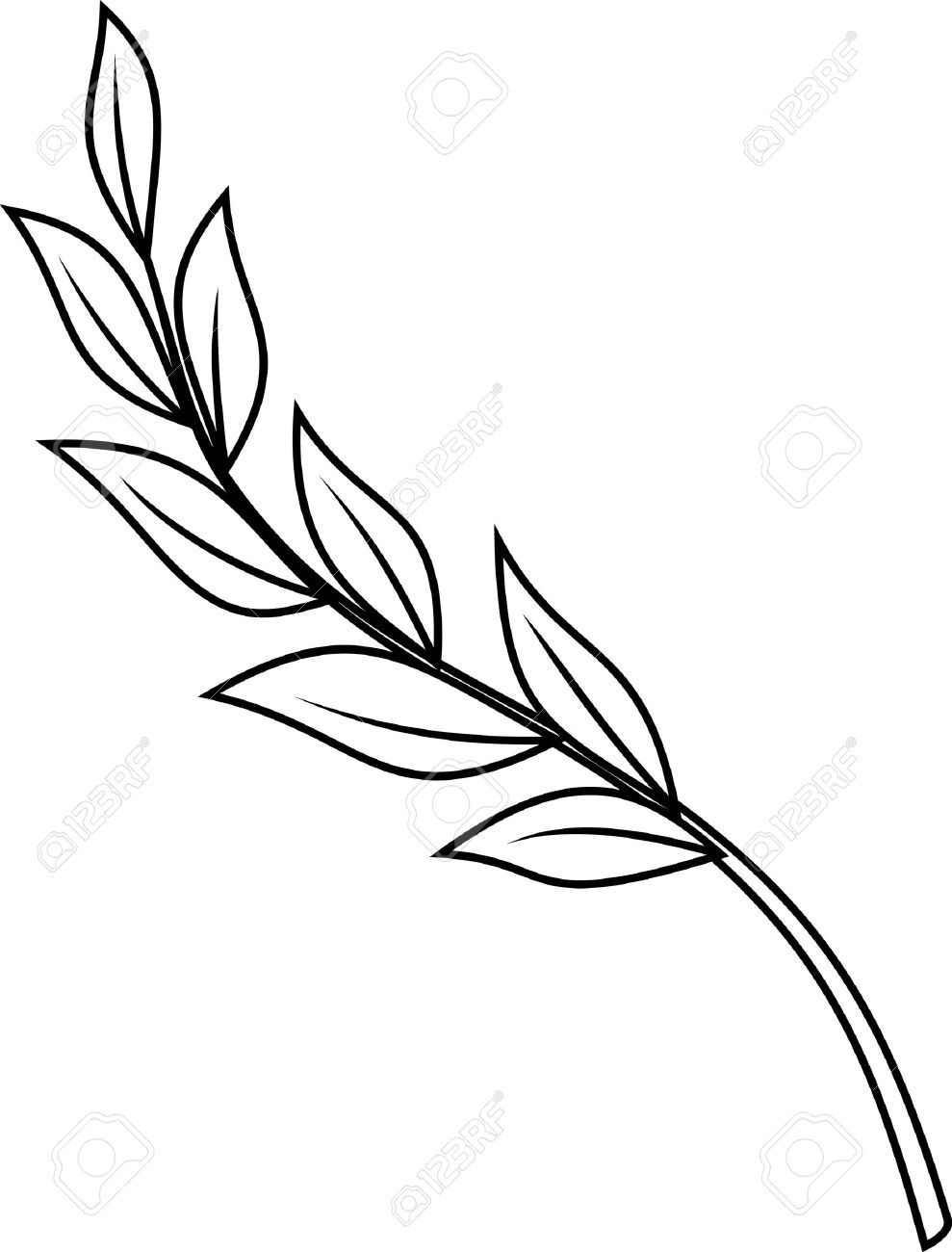 Laurel Branch Stock Vector Illustration And Royalty Free Laurel 989x1300 Laurel Branch Stock Vector Illustration And Royalty Free Laurel
