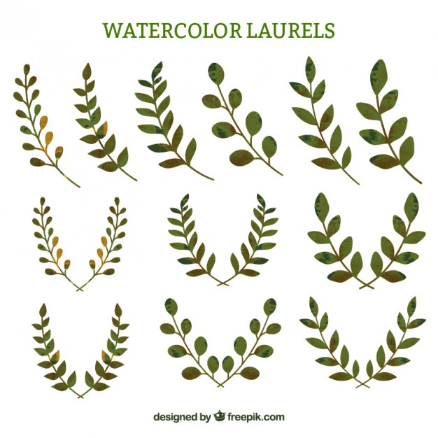 Laurel Vectors, Photos And Free Download 626x626 Laurel Vectors, Photos And Free Download