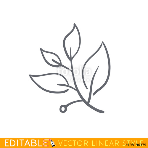 Laurel Branch Editable Line Sketch Icon Stock Vector 500x500 Laurel Branch Editable Line Sketch Icon Stock Vector