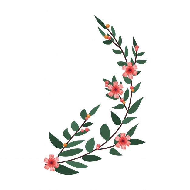 Laurel Branches Icon Vector Premium Download 626x626 Laurel Branches Icon Vector Premium Download