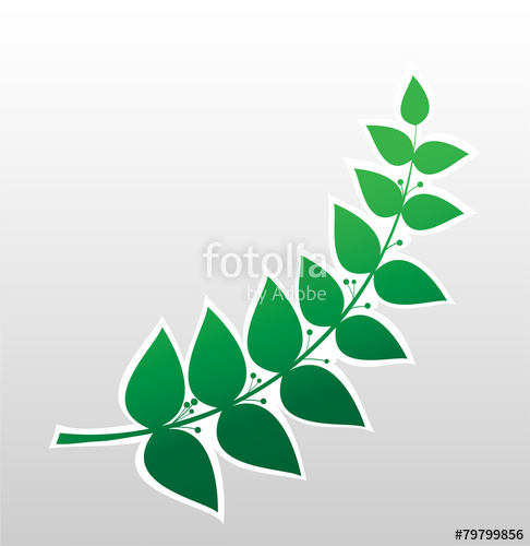 Laurel Branch, Symbol Of Victory Stock Image And Royalty Free 486x500 Laurel Branch, Symbol Of Victory Stock Image And Royalty Free