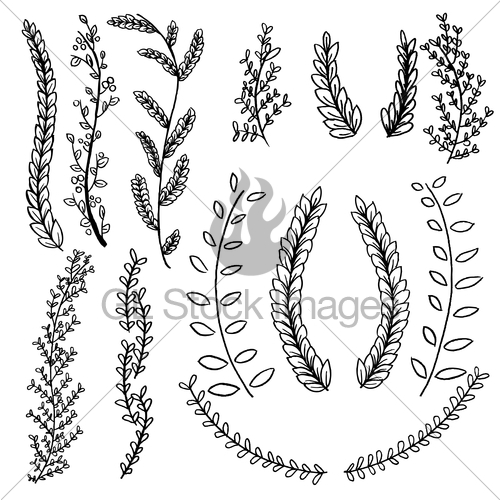 Hand Drawn Laurel Branches Vector Set Gl Stock Images 500x500 Hand Drawn Laurel Branches Vector Set Gl Stock Images