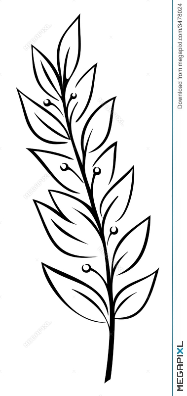 Laurel Branch 379x800 Laurel Branch