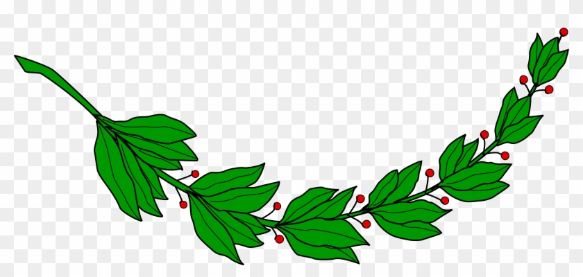 Laurel Branch 840x400 Laurel Branch