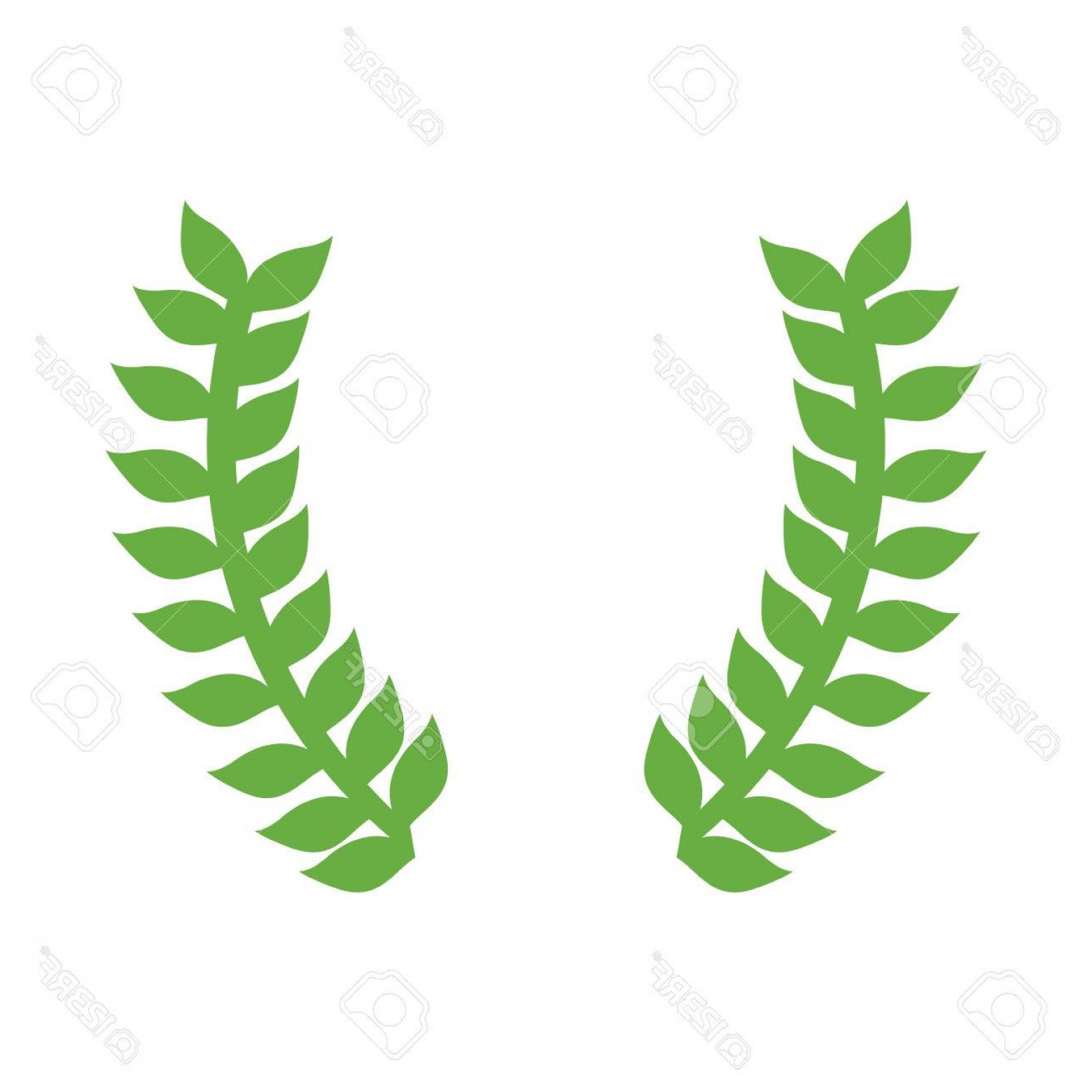 1560x1560 Photostock Vector Green Laurel Leaves Wreath Icon Over White