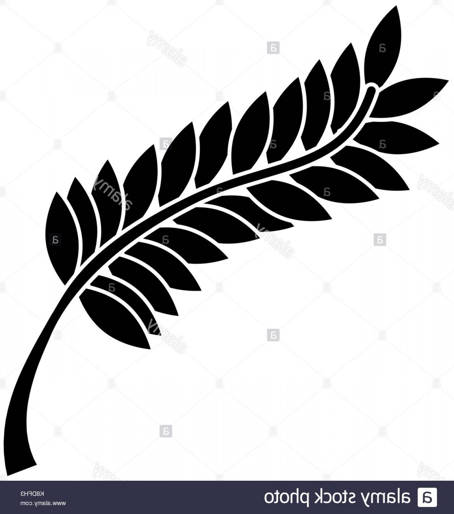 1471x1668 Stock Image Laurel Leaf Isolated Icon Vector Illustration Design