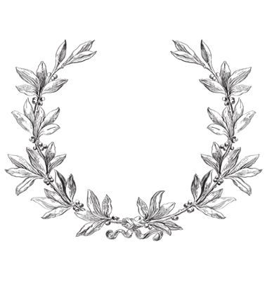 380x400 Hand Drawn Laurel Wreath Vector