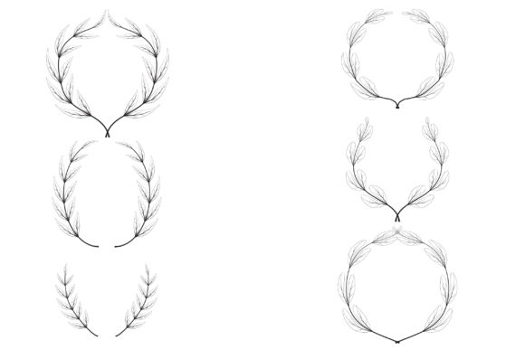 580x387 Laurel Vector