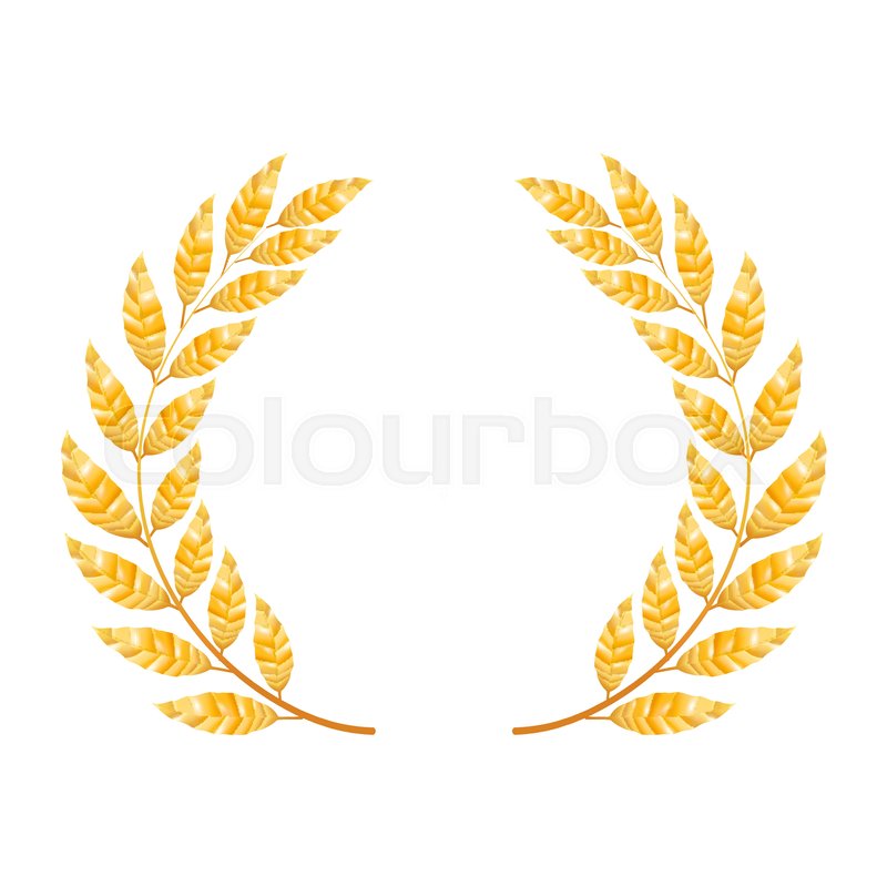 800x800 Gold Laurel Vector Shine Wreath Award Stock Vector Colourbox
