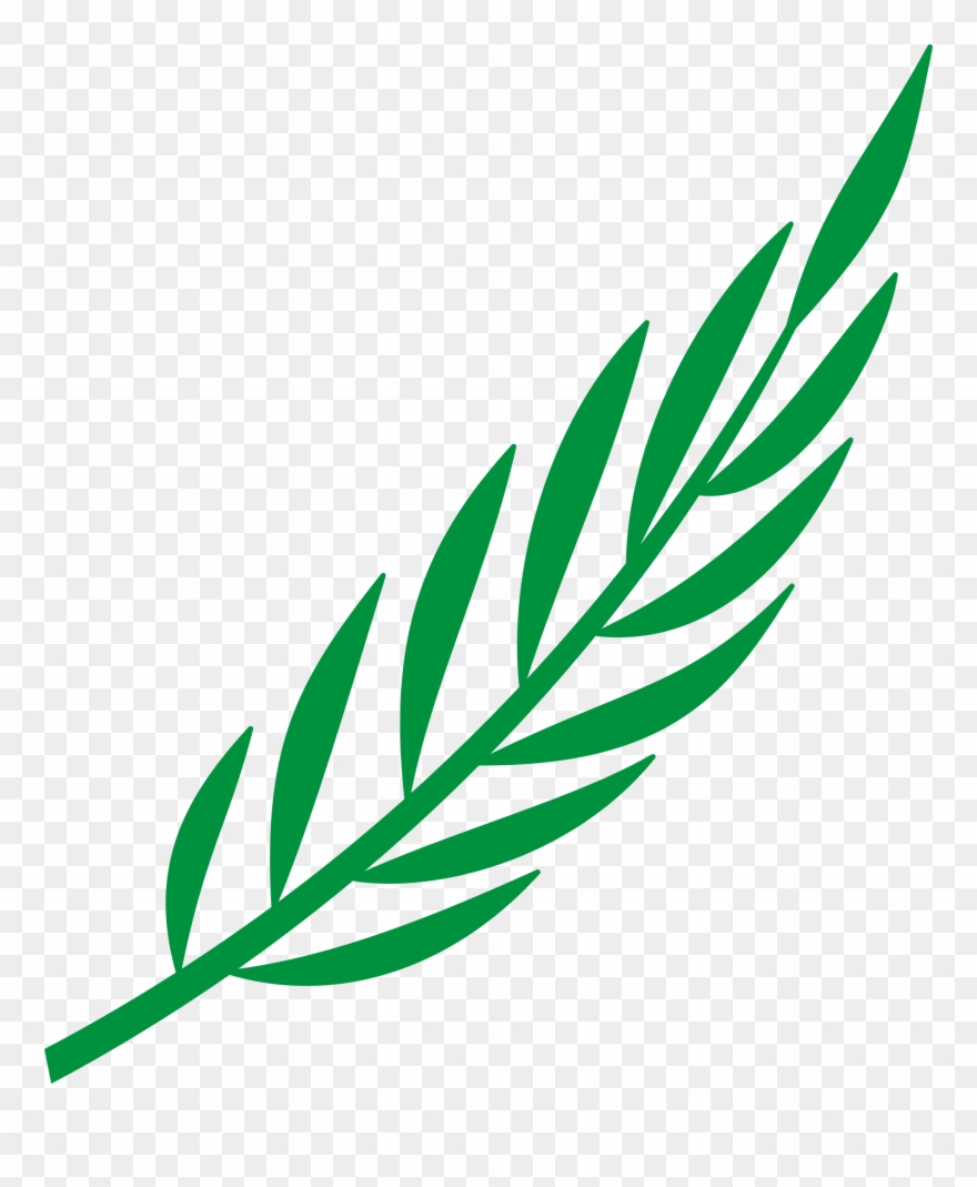 880x1069 Laurel Leaves Png Vector Clipart