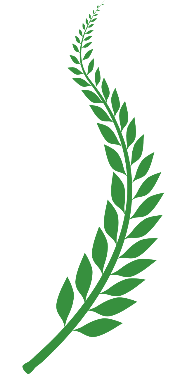 640x1280 Wheat Illustrator Vector Laurel Png