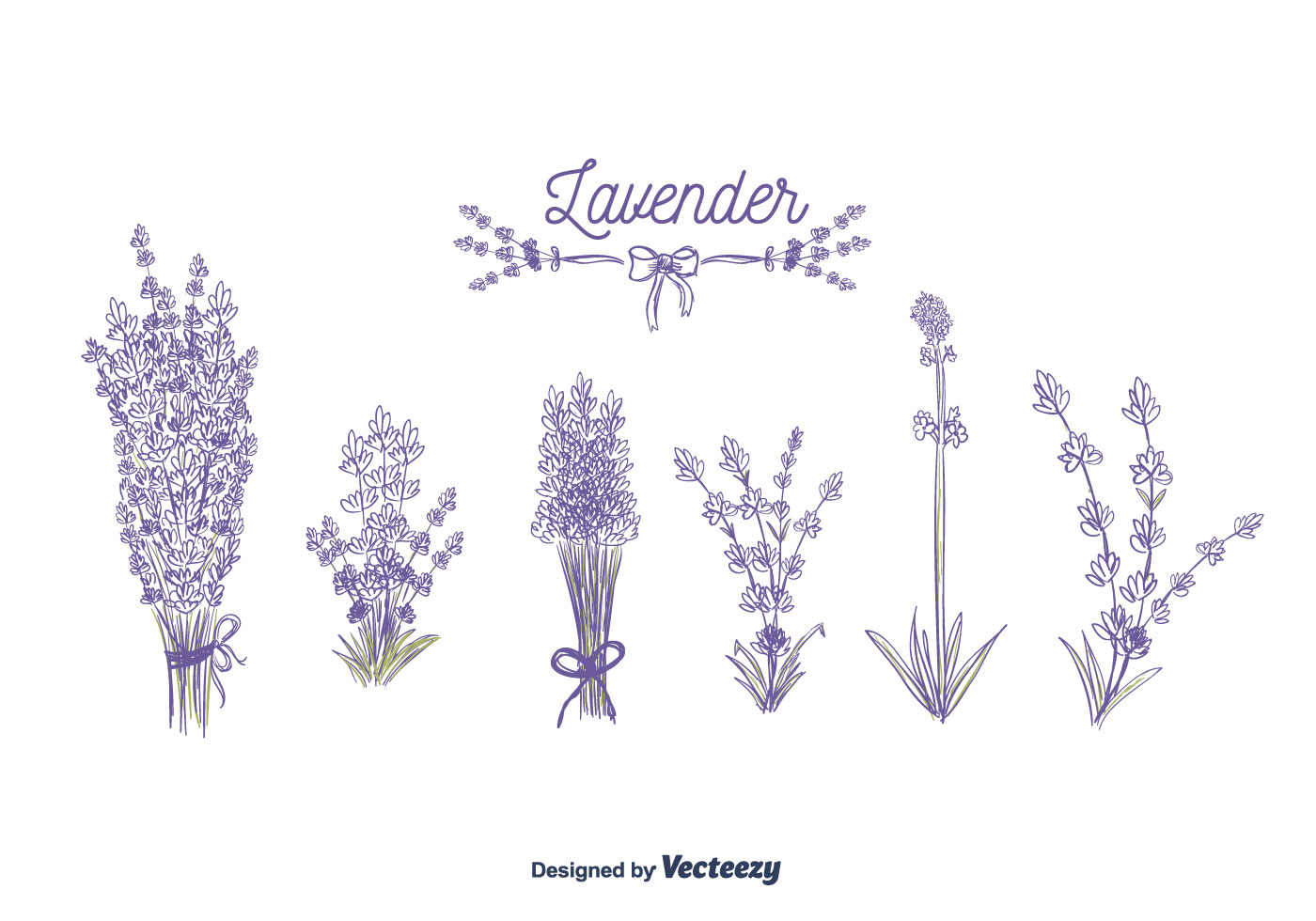 1400x980 Lavender Free Vector Art