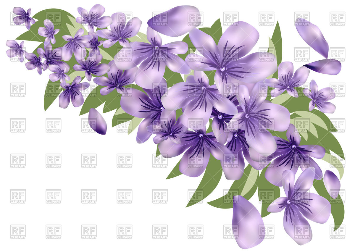 1200x852 Lavender Flower With Leaves Vector Image Of Plants And Animals