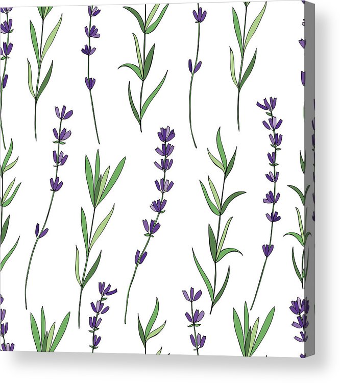 666x750 Seamless Vector Floral Pattern, Hand Drawn Graphic Lavender Flower