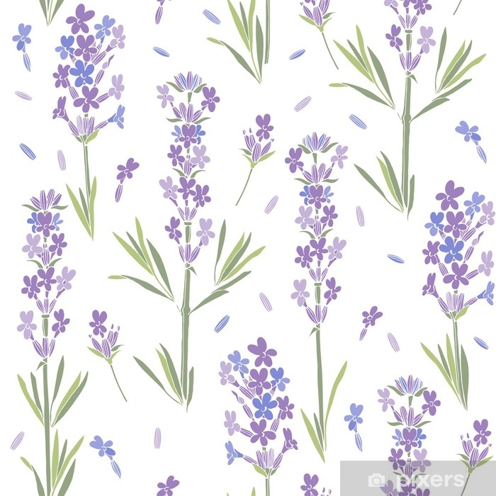 700x700 Seamless Vector Pattern With Lavender Flowers Floral Illustration