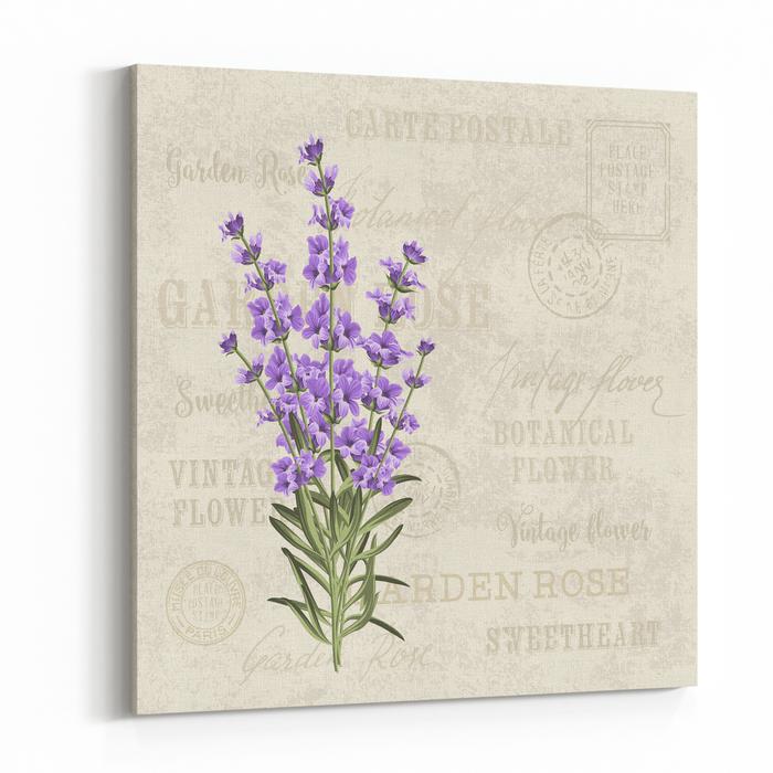 700x700 The Lavender Elegant Card Vintage Postcard Background Vector