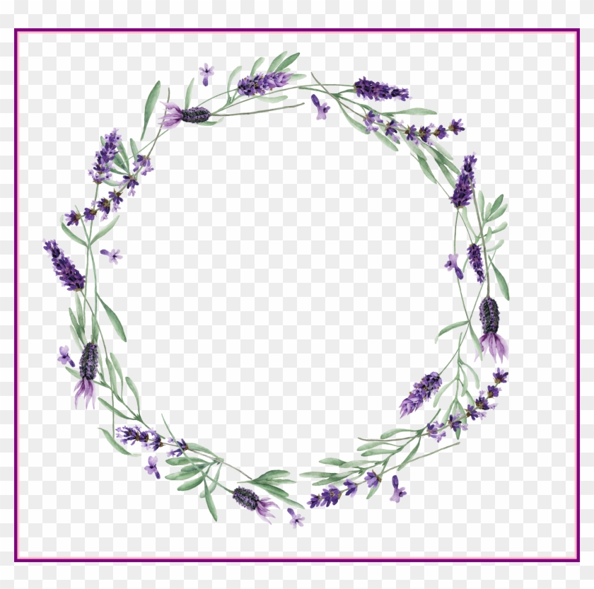 840x833 Lavender Vector Royalty Free Stock Huge