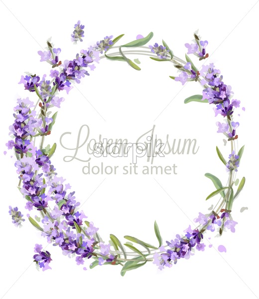 520x600 Lavender Wreath Card Watercolor Vector Flowers Bouquet Background