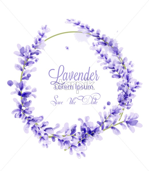 520x600 Pink Watercolor Lavender Wreath Vector Delicate Floral Blooming