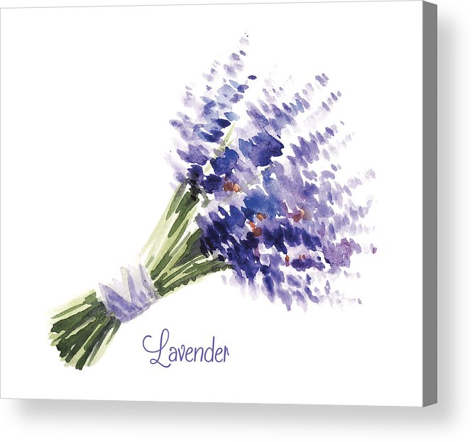 665x623 Vector Watercolor Bouquet Of Lavender Acrylic Print