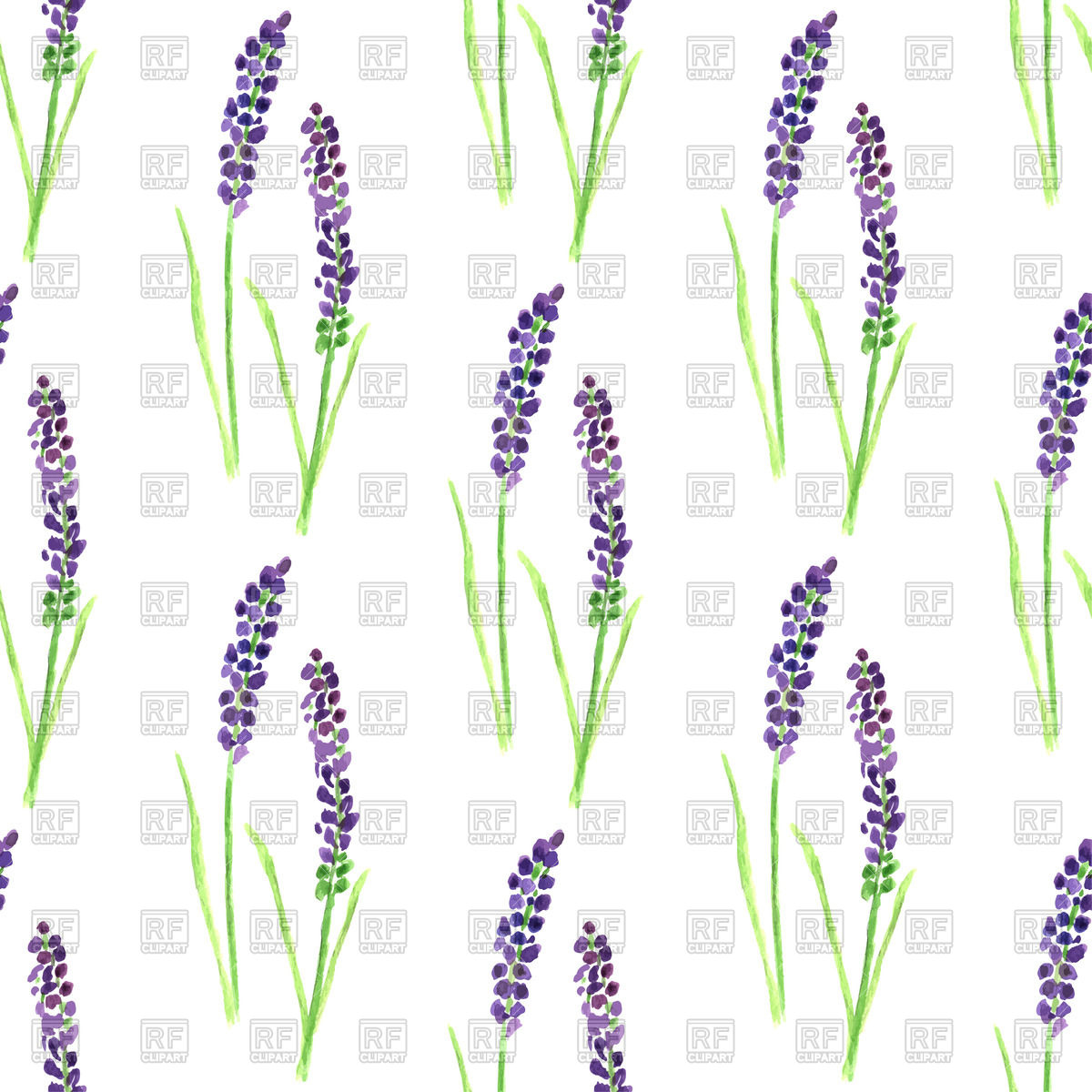 1200x1200 Watercolor Painted Seamless Lavender Pattern Vector Image