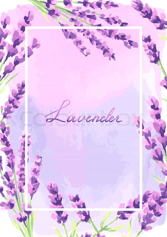 Lavender Flowers Background Design Stock Vector Colourbox 566x800 Lavender Flowers Background Design Stock Vector Colourbox