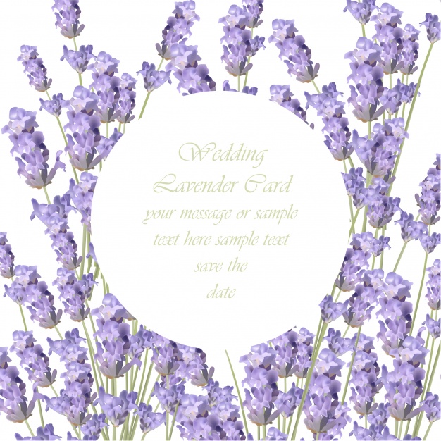 Lavender Frame Background Vector Free Download 626x626 Lavender Frame Background Vector Free Download