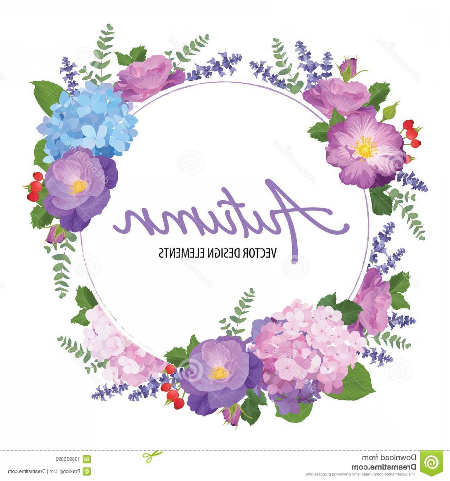 Floral Frame Autumn Hydrangea Flowers Rose Lavender White 1560x1668 Floral Frame Autumn Hydrangea Flowers Rose Lavender White
