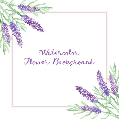 Watercolor Lavender Flowers Background 490x490 Watercolor Lavender Flowers Background