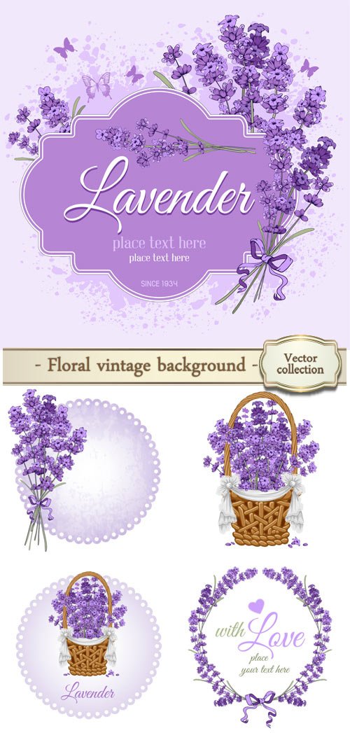 Floral Vintage Background With Lavender, Vector 500x1047 Floral Vintage Background With Lavender, Vector