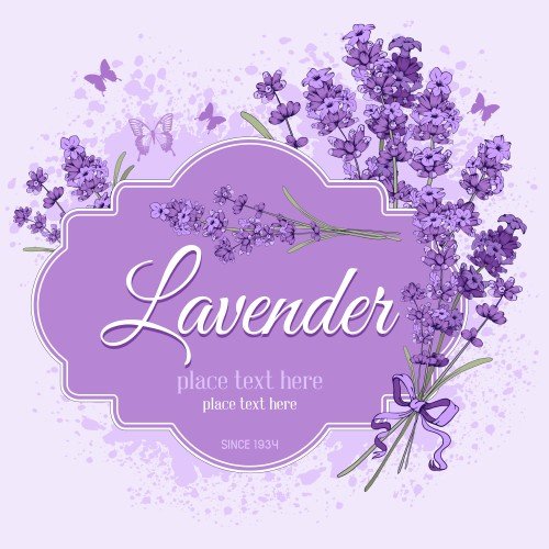 Floral Vintage Background With Lavender, Vector Nitrogfx 500x500 Floral Vintage Background With Lavender, Vector Nitrogfx
