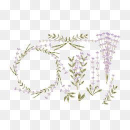 Lavender Vector Free