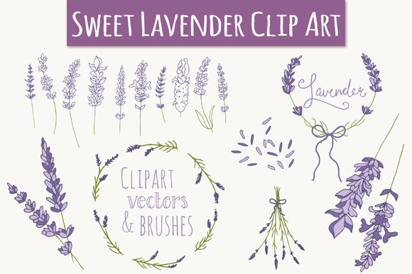580x386 Lavender Set Graphic