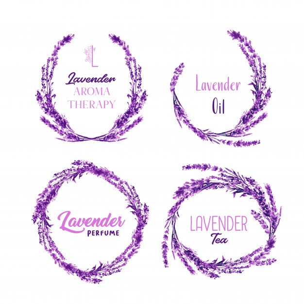 626x626 Lavender Vectors, Photos And Free Download