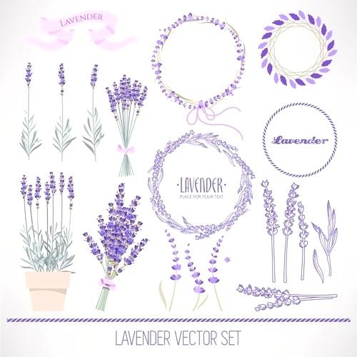500x500 Free Vector Lavender Flowers