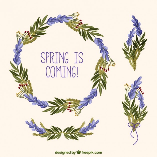 626x626 Hand Drawn Floral Wreath Of Lavender Vector Free Download