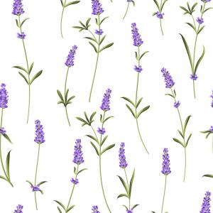 300x300 Hmrwtoflower Nature Free Lavender Vector Png Cqrecords