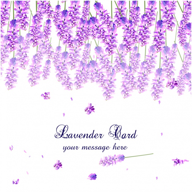 Lavender Watercolor Card Design Vector Free Download 626x626 Lavender Watercolor Card Design Vector Free Download