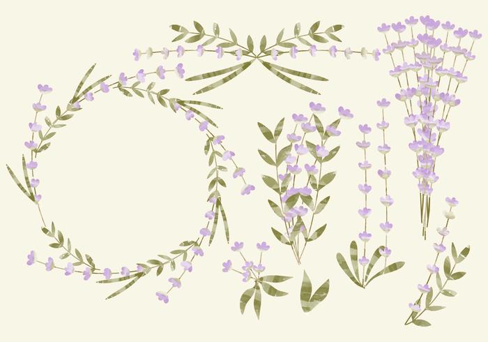 Vector Watercolor Lavender 700x490 Vector Watercolor Lavender