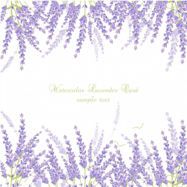 Watercolor Lavender Card Vector Free Download 626x626 Watercolor Lavender Card Vector Free Download