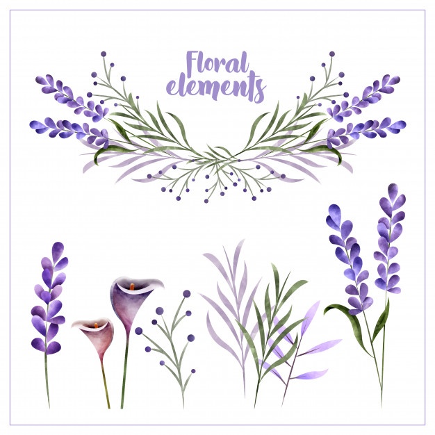 Watercolor Lavender Flower Background Vector Premium Download 626x626 Watercolor Lavender Flower Background Vector Premium Download