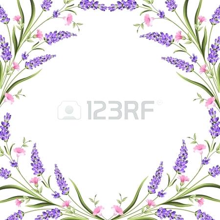 Picture Of Vector Lavender Flowers 450x450 Picture Of Vector Lavender Flowers