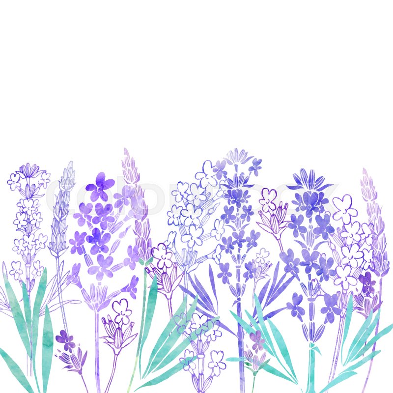 Floral Vector Background With Stock Vector Colourbox 800x800 Floral Vector Background With Stock Vector Colourbox