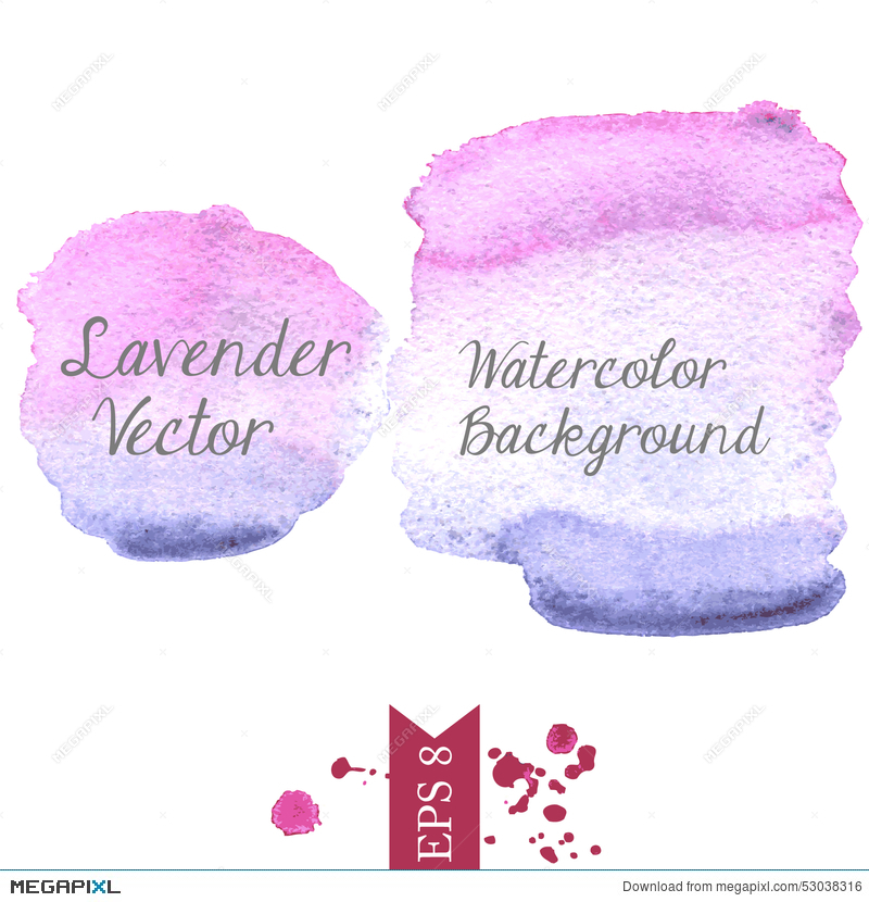 Lavender Watercolor Vector Background Illustration 800x830 Lavender Watercolor Vector Background Illustration